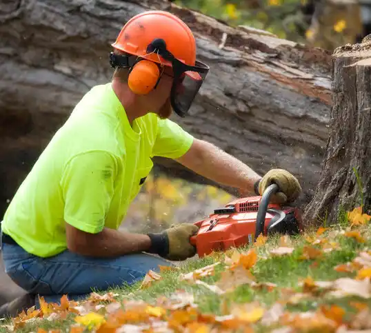 tree services Harbor Beach